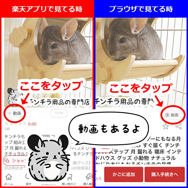 楽天市場】ゆうパケットOK チンチラもふもふ共和国 木製ステップ3個