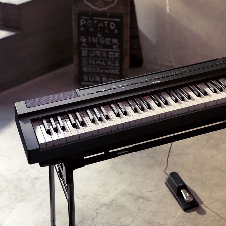 P-121 - Overview - Portables - Pianos - Musical Instruments