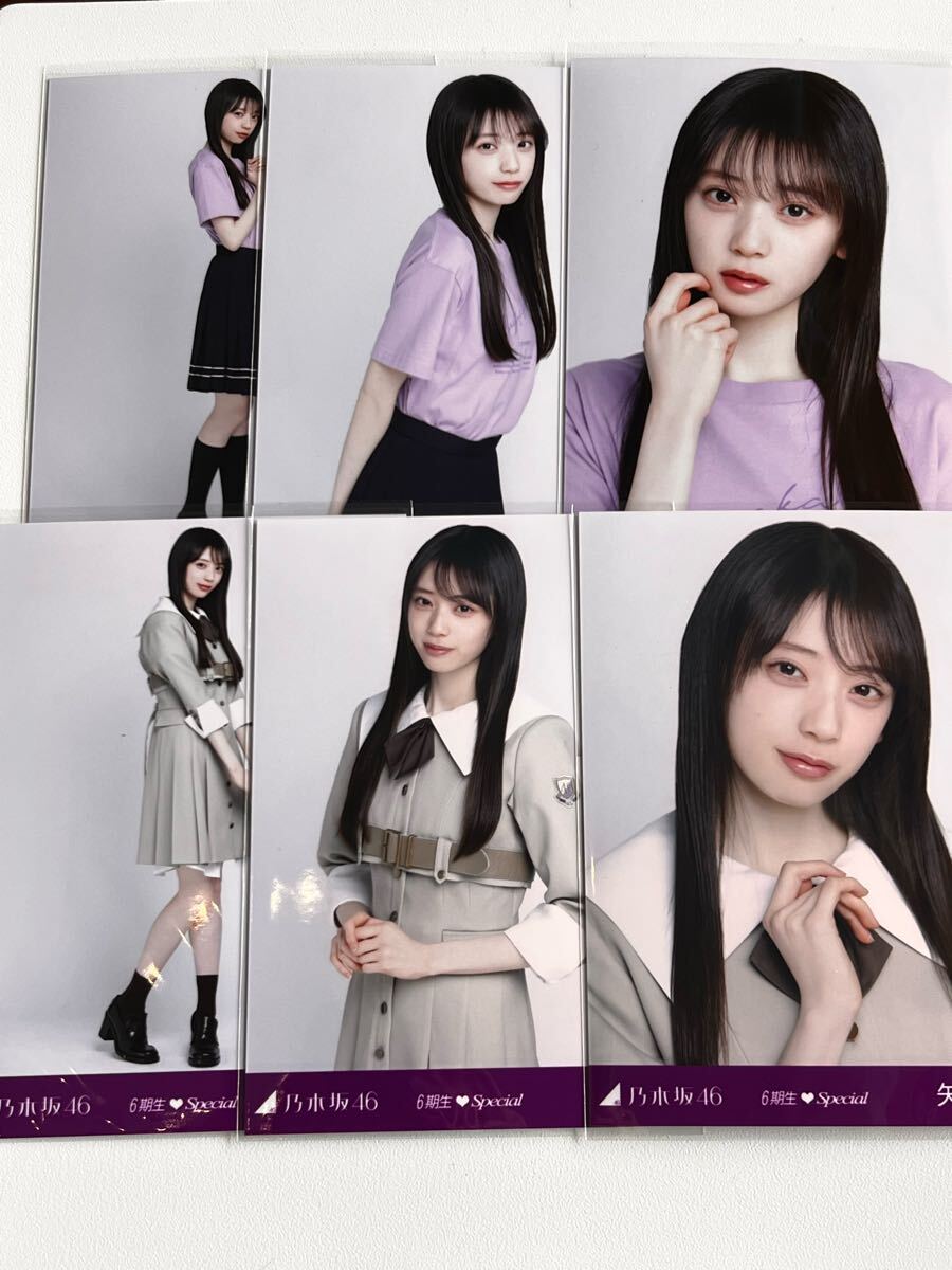 乃木坂46 6期生 初披露の会 生写真 フルコンプ 乃木坂46 6期生 初披露