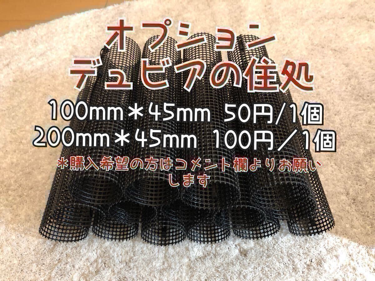 雫工房 デュビア用飼育・繁殖ケージ 大型 二重底上段メッシュ底構造。 注文