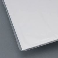 富士フイルム フジカラー アルミ額縁 A300 全紙 A300Z 1枚 563-0252