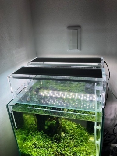 最終値下げ！ADA アクアスカイムーン301