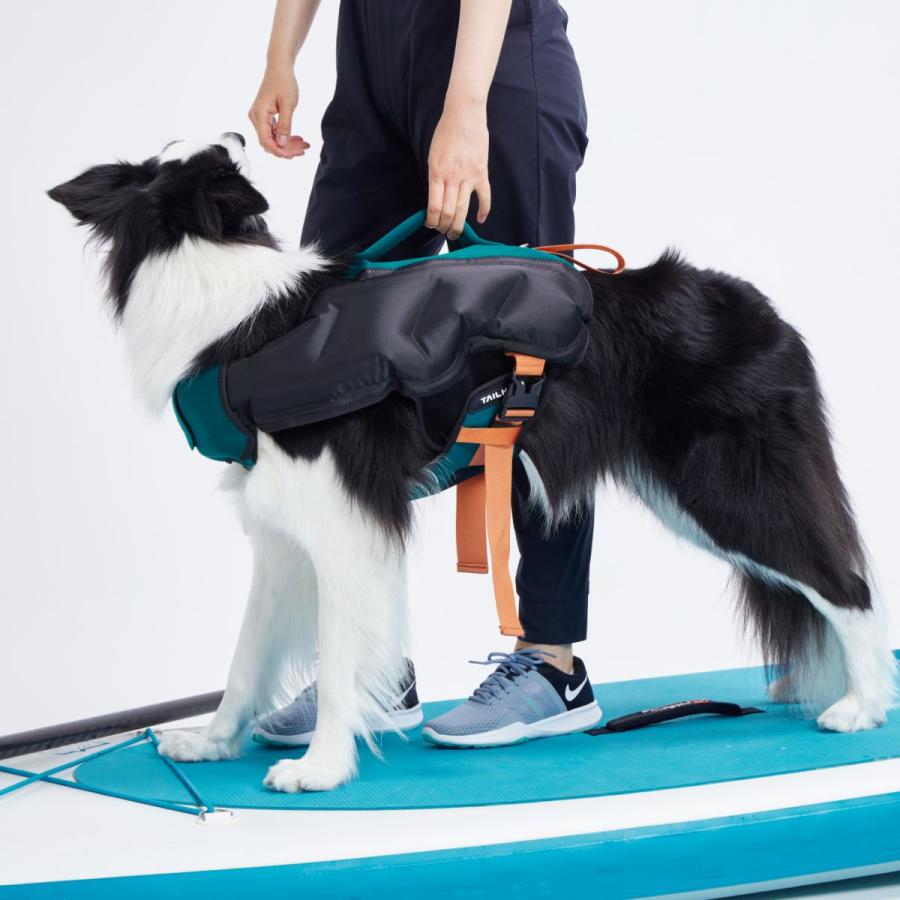 TAILHIGH テールハイ ライフジャケット Inflatable Wetsuit Mサイズ 全