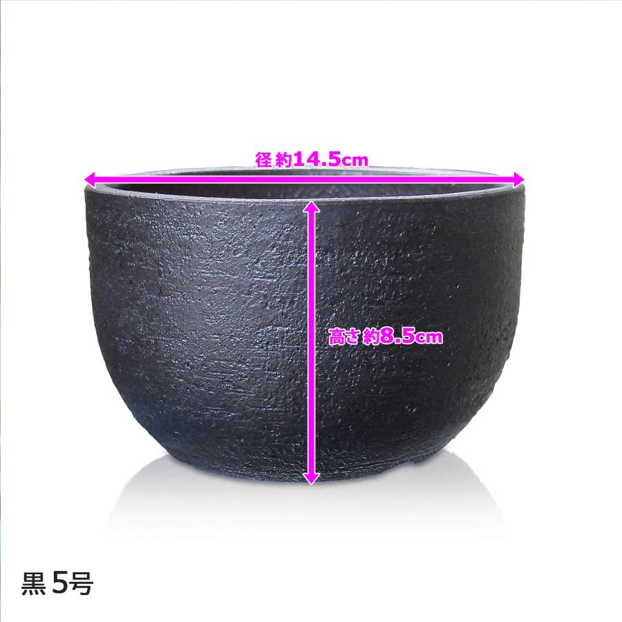 盆栽鉢 5号 尻丸鉢 金彩 黒 二色 信楽焼 山野草 観葉植物 アガベ 塊根