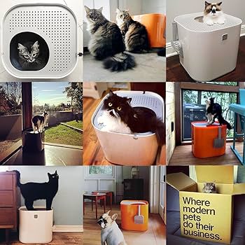 Amazon | モデコ(modko) モデキャットリターボックス オレンジ