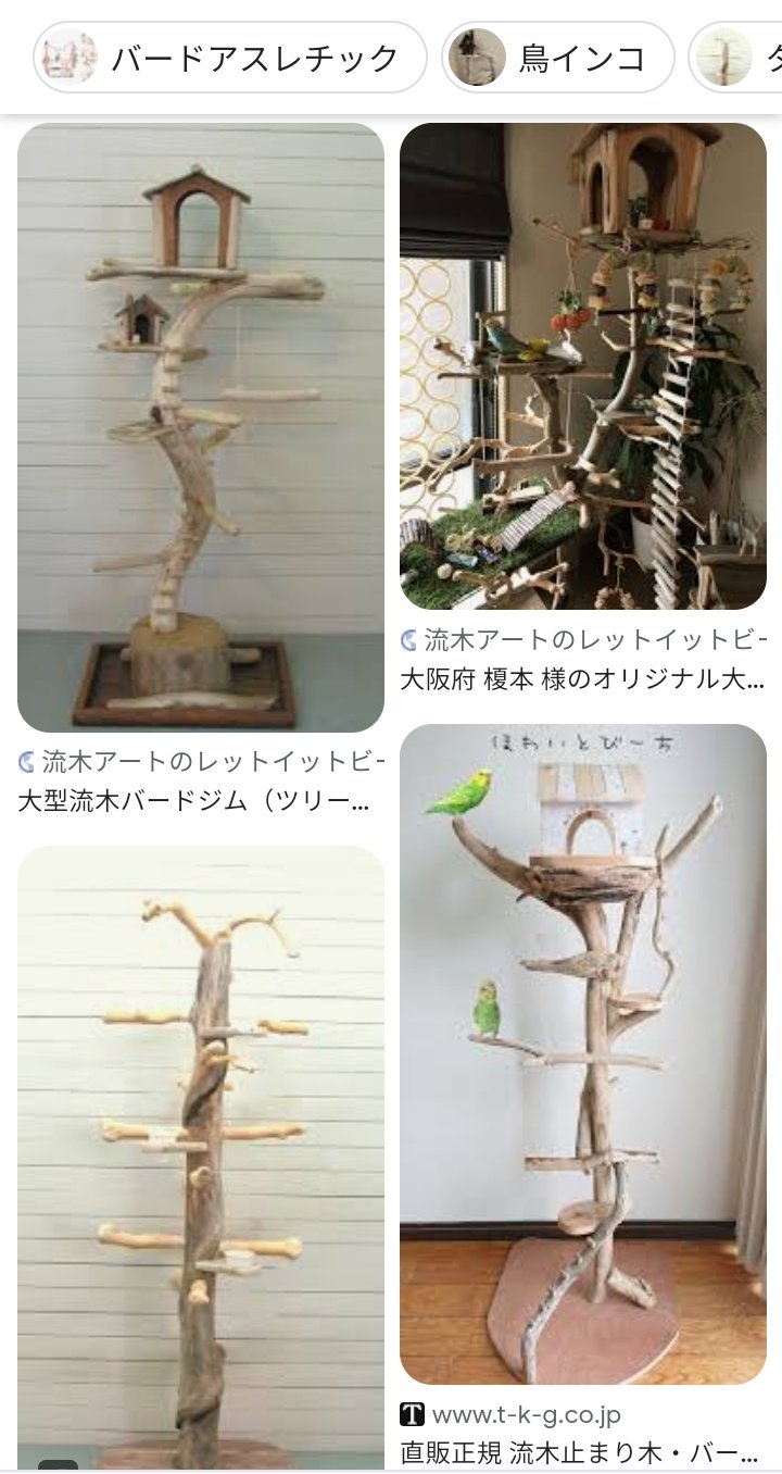 鳥インコ止まり木 流木バードアスレチックタワー型 特大サイズバード