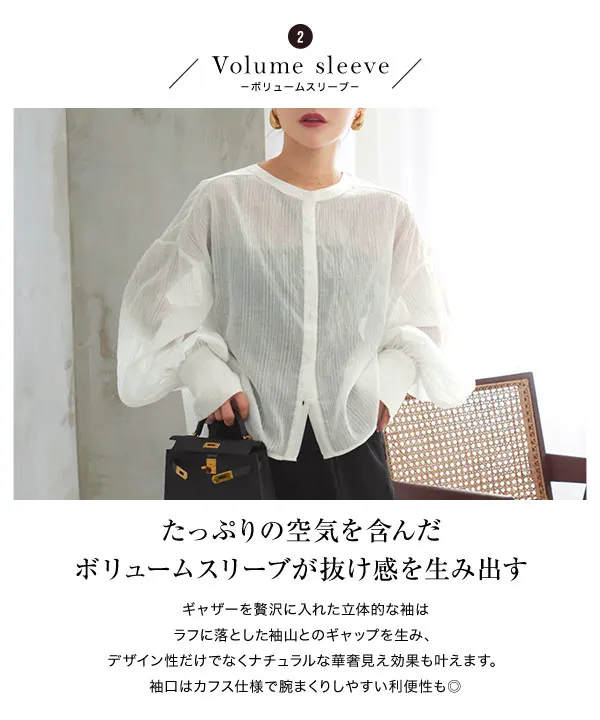 田中亜希子さんコラボ ] 選べる2丈ボリュームスリーブシアーシャツ