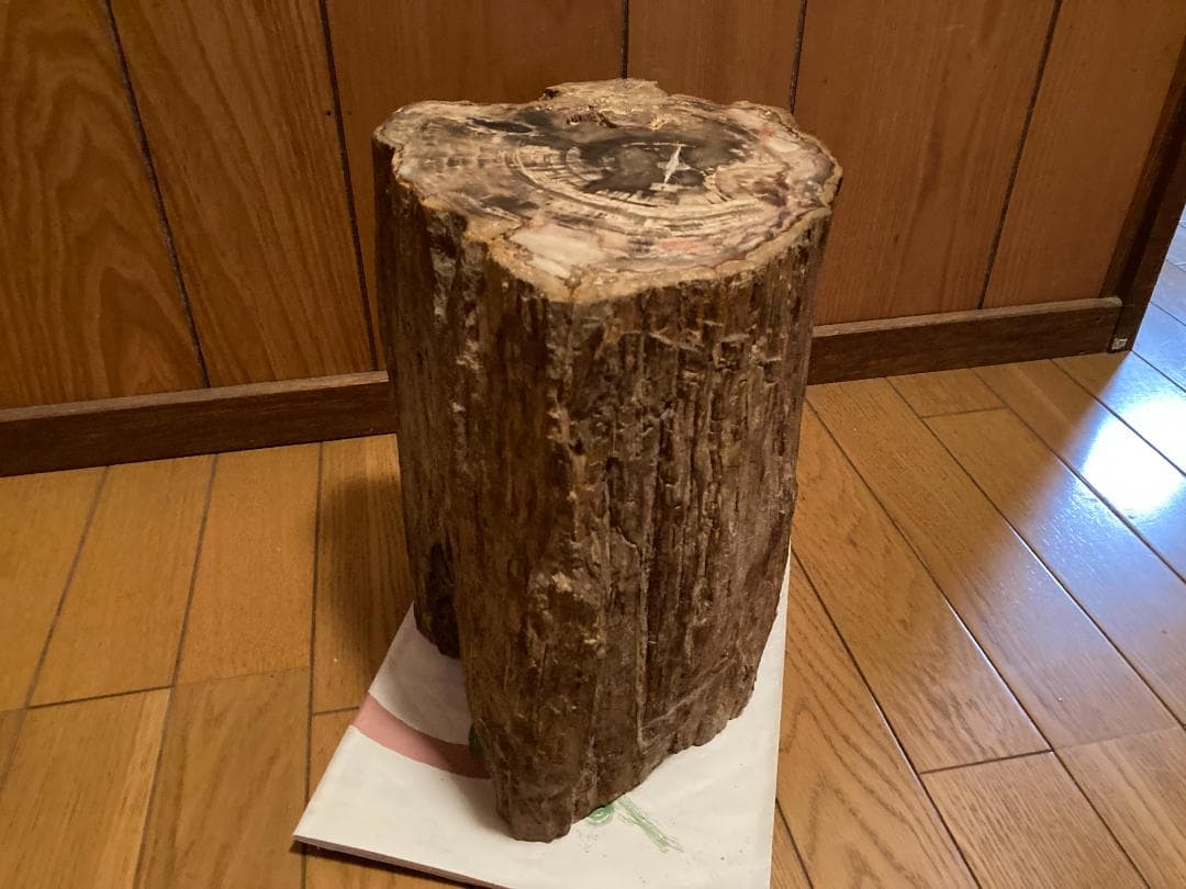 木化石　ブラジル産　30Kg弱くらい　珪化木 受け渡しも可能です 木化石 ブラジル産 30Kg弱くらい 珪化木 受け渡しも可能です