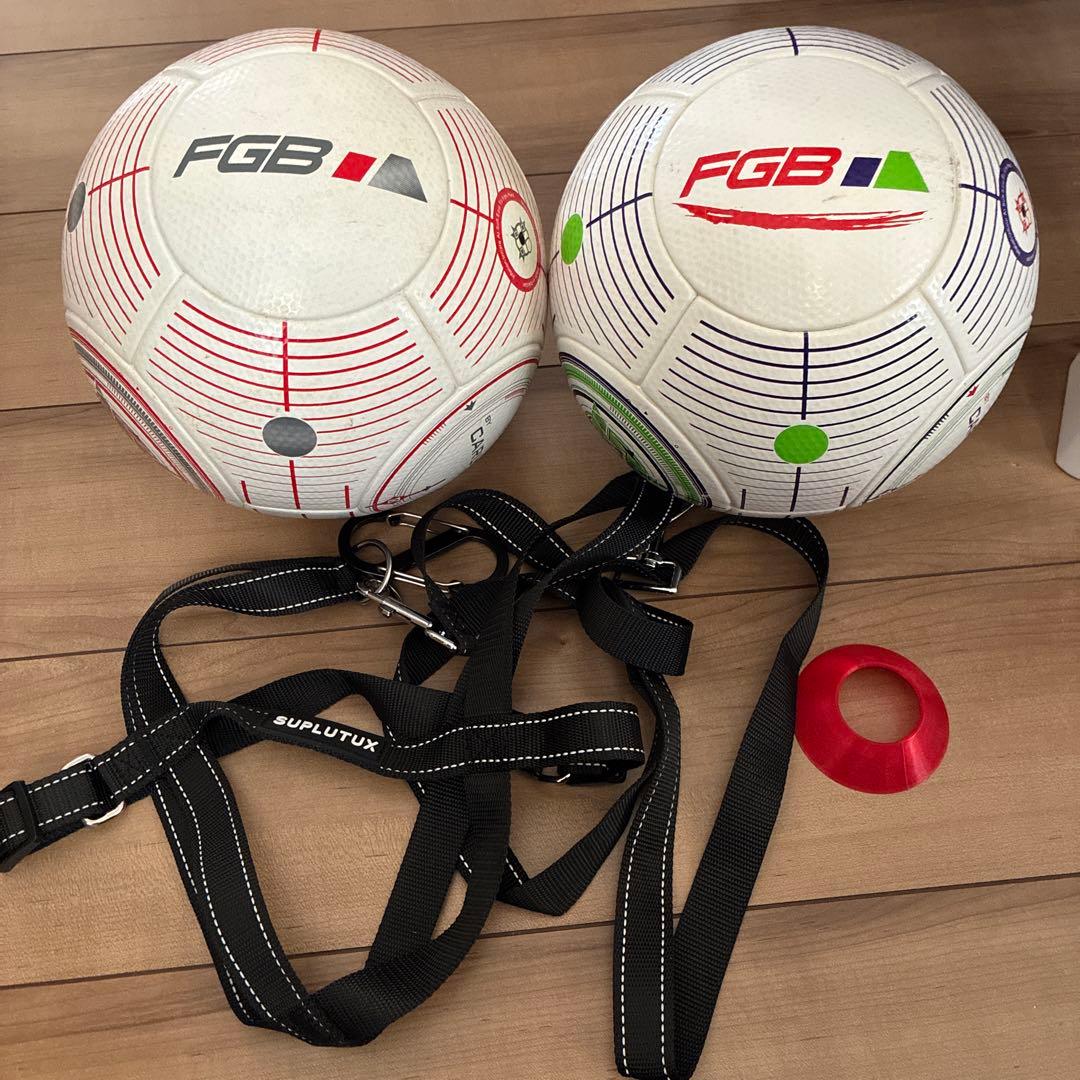 フットゴルフボール　FGB サッカーボール 2個セット ストラップ　ティー付き フットゴルフボール FGB サッカーボール 2個セット ストラップ ティー付き